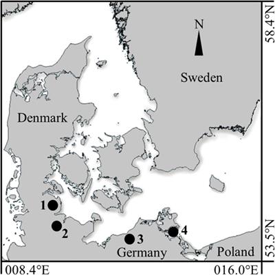 Elemental Inventory in Fish Otoliths Reflects Natal Origin of Atlantic <mark class="highlighted">Herring (Clupea harengus)</mark> From Baltic Sea Juvenile Areas